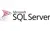 Microsoft SQL Server Case Study